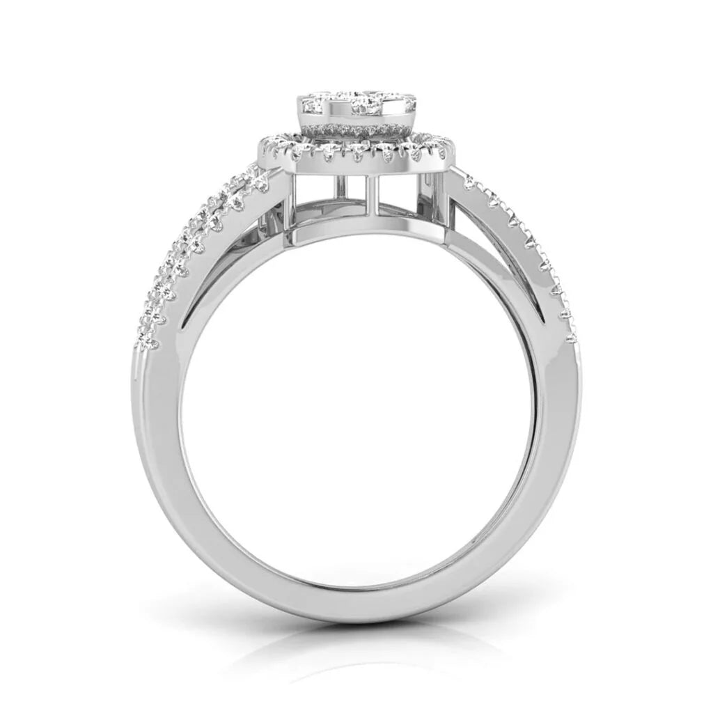 dazzling orbit bloom